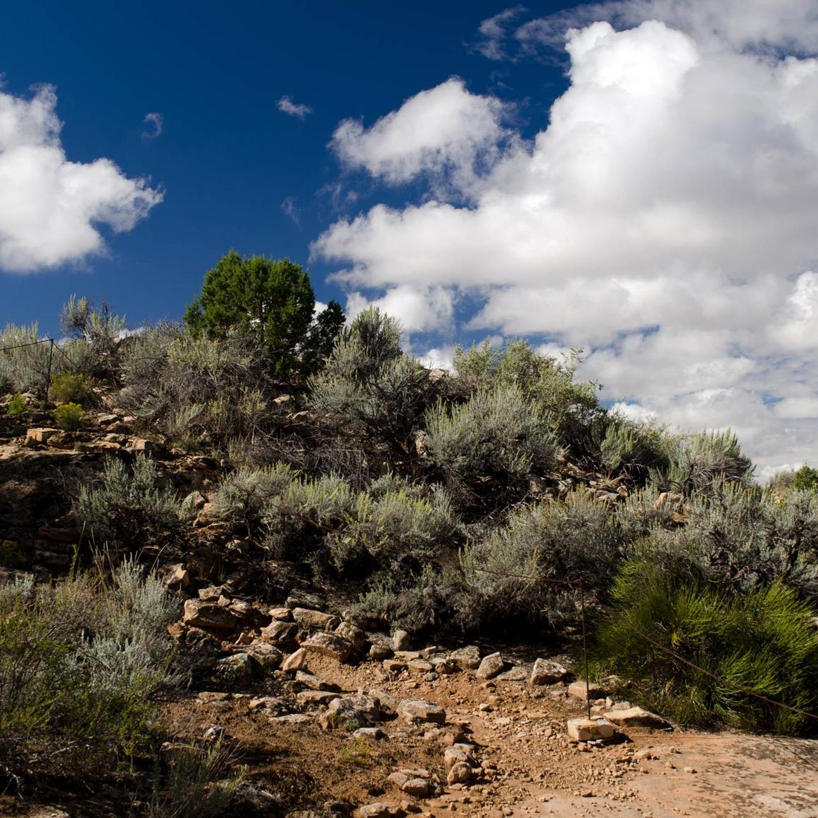 sagebrush and juniper with cloudy skies