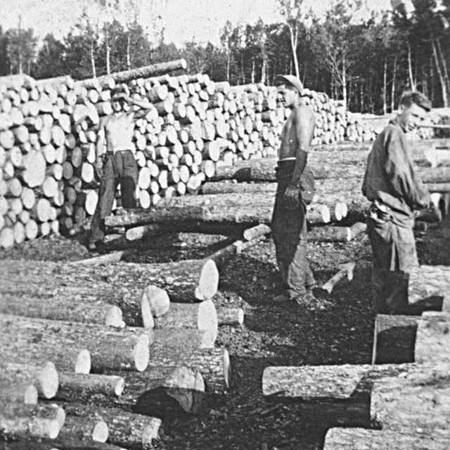 three men surround towering log piles