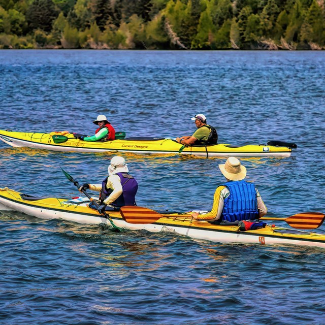 Four people in two yellow tandem kayaks.