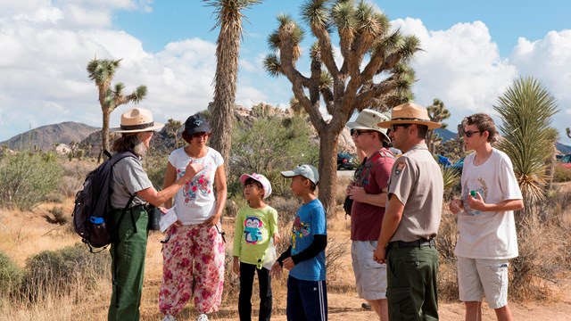 Park rangers talk to visitors outside