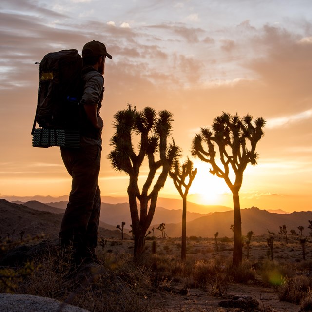 a hiker wearing a large backpack looks towards the horizon at a colorful sunset