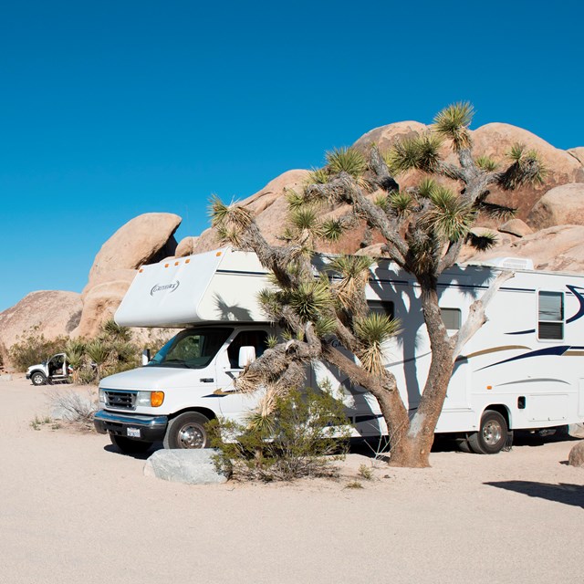 Color photo of RVs in sites at Belle Campground with rock formations and Joshua trees nearby.