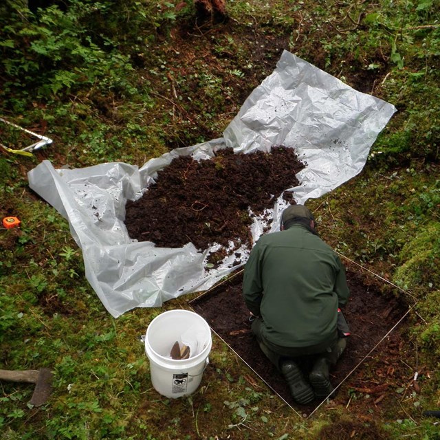A person kneels in a dug pit with the dirt piled on a sheet next to them.