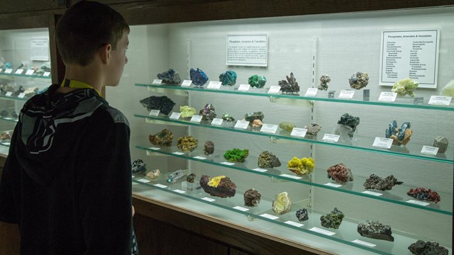 A young man examines an exhibit of various rock specimens at the Mineral Museum.