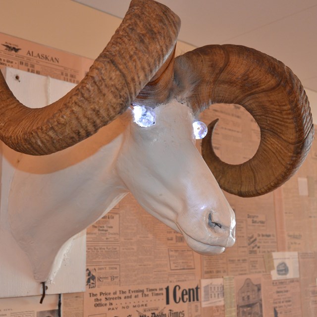 Mounted head of a horse with backward ram's horns and glowing eyes