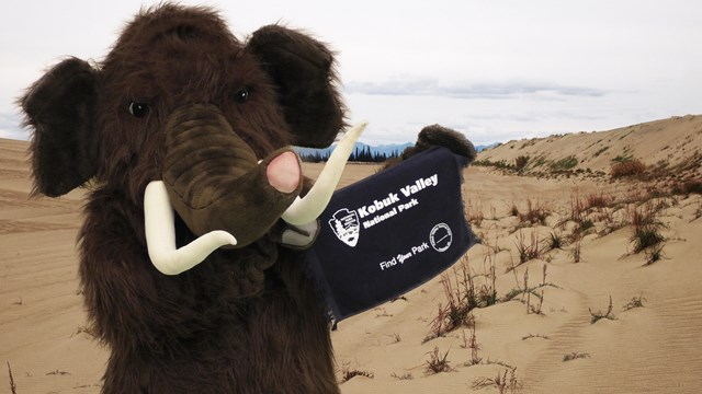 Mammoth mascot holding Kobuk Valley sign on the sand dunes