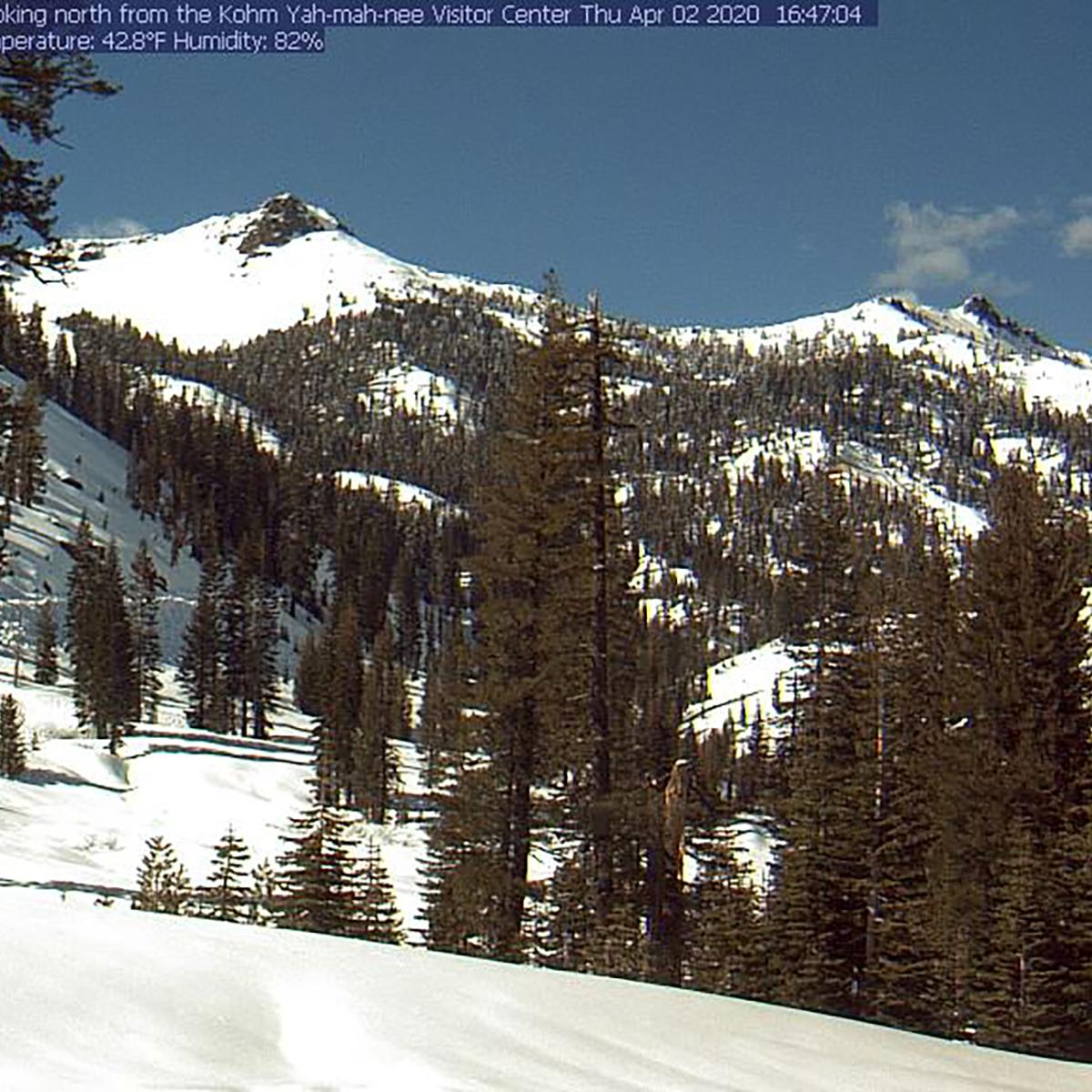 A color landscape of dark green conifers with snow on the ground and on top of background peaks