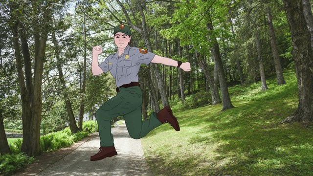 photo of carriage road with trees on either side with a cartoon of a park ranger running pasted in