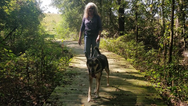 A woman walking a dog on a boardwalk through a shadowy forest.