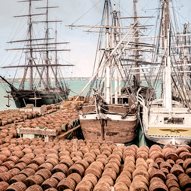 Colorized image of historic whale ships on the waterfront.