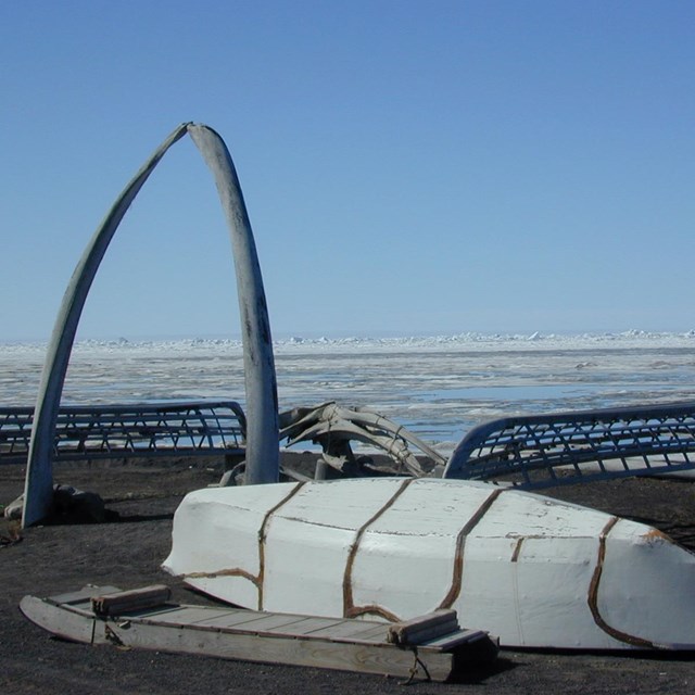 A canoe, frame, and whale bones sit on the beach in Alaska.