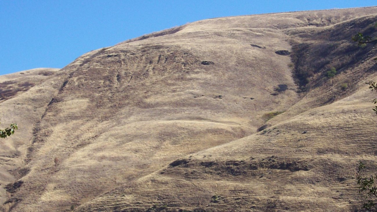 A  mountainside on a sunny day. The rock formation is said to be coyote's fishnet.
