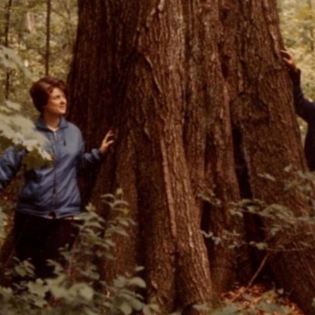 Two people in forest standing next to a big tree