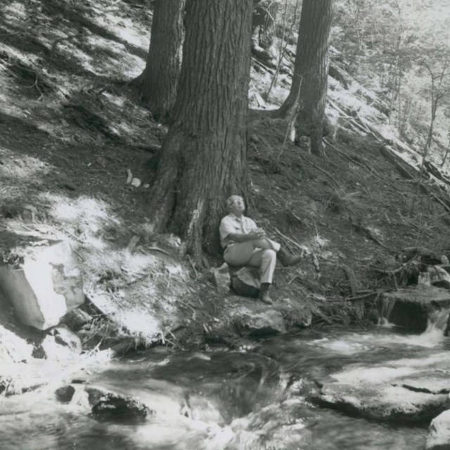 historic photo of man sitting next to tree