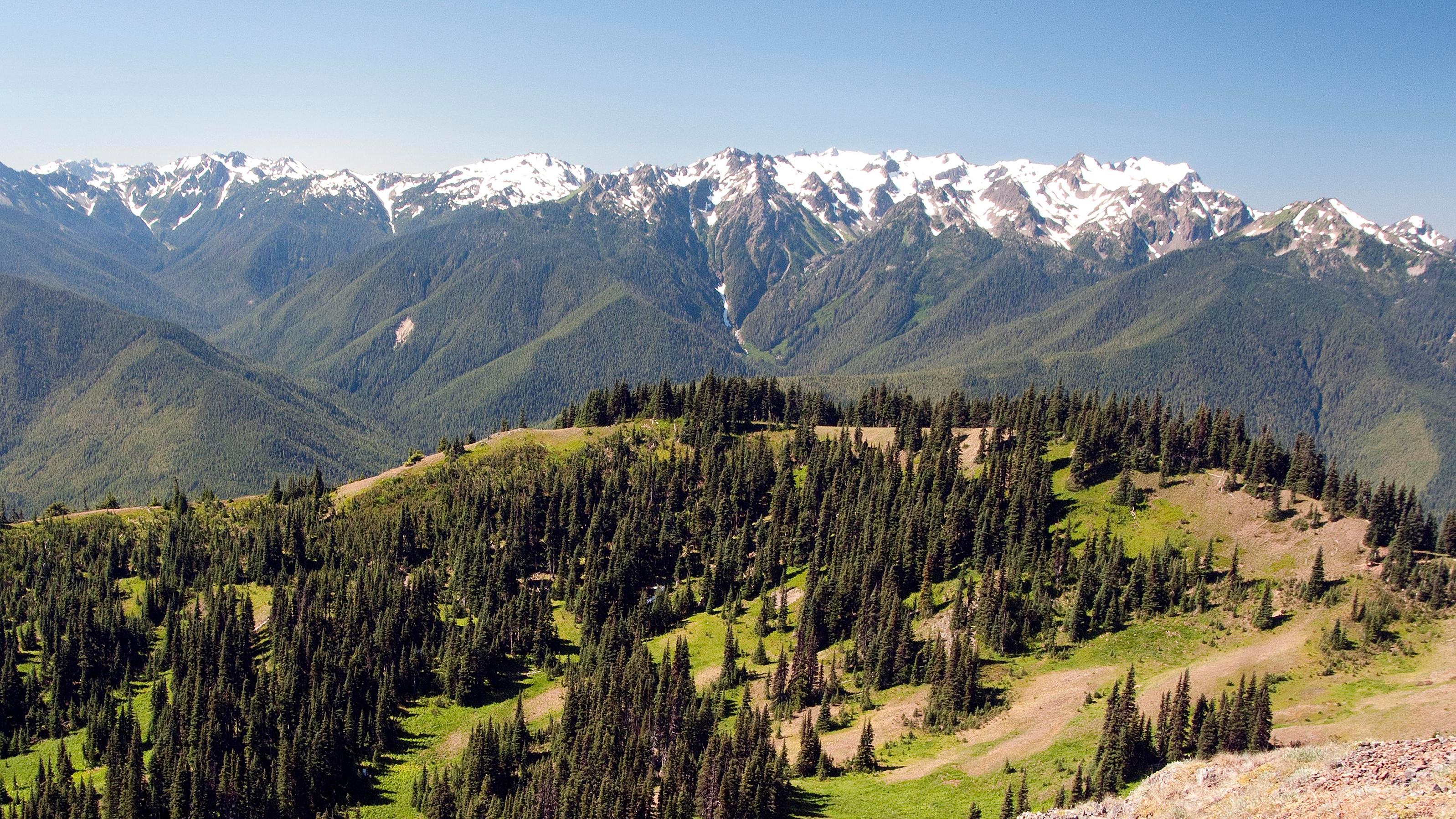 A view of Hurricane Ridge on a sunny day.