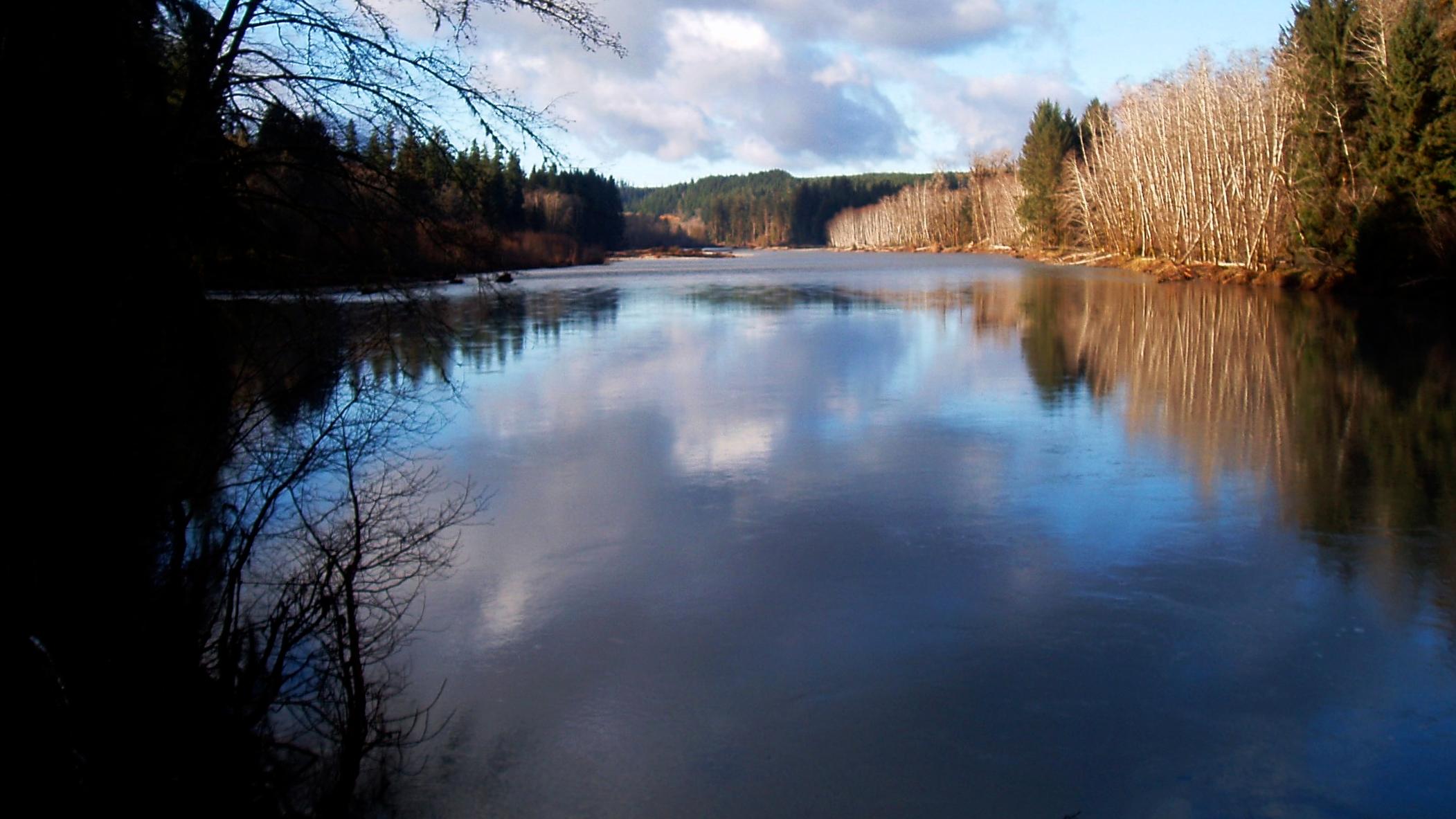 Still waters of the Queets River.