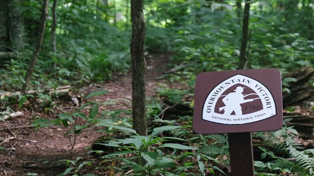 A brown metal sign stands beside a dirt trail through a forest.