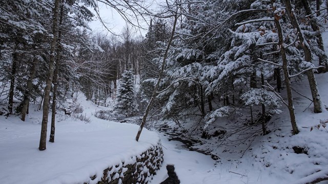 Snowy trees surround a semi-frozen river.