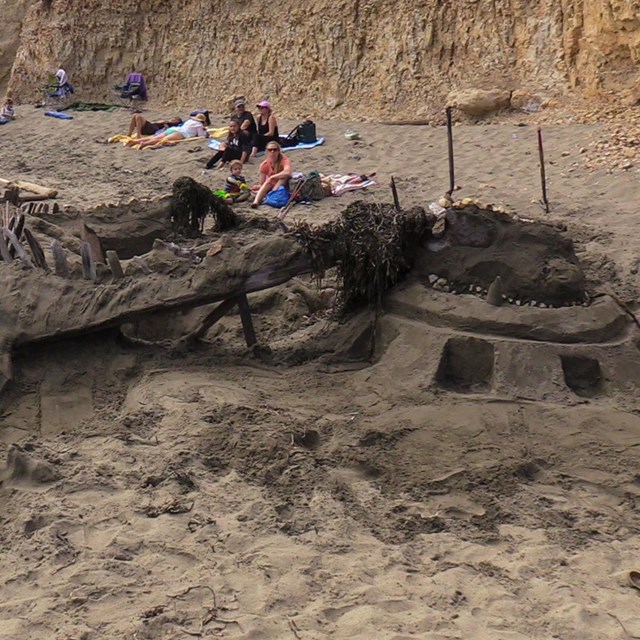 A sand sculpture of a dragon.
