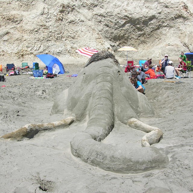 A sand sculpture of the head of a woolly mammoth.