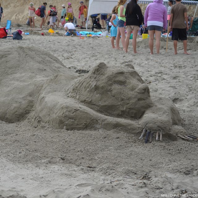 A sand sculpture of a bear lying on the beach with its head on its forepaws.