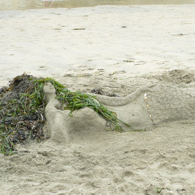 A sand sculpture of a mermaid reclining with hair made of seaweed.