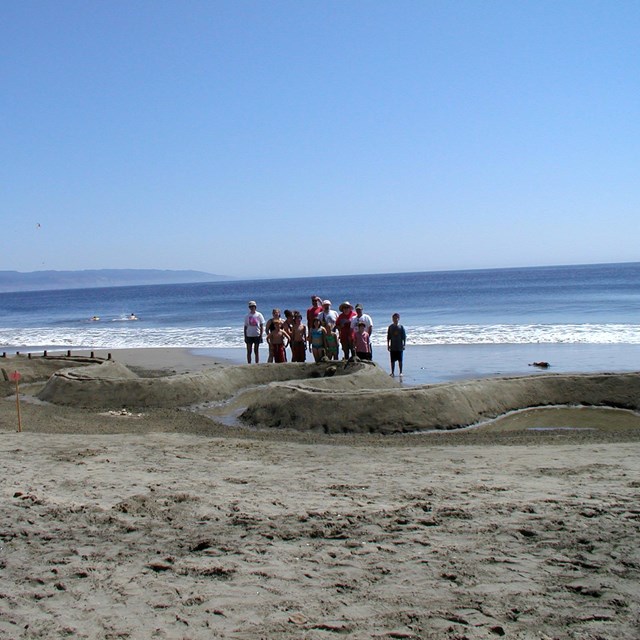 Thirteen people standing behind a sinuous sand sculpture that undulates across the beach.