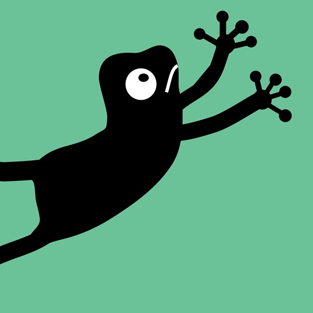 Cartoon frog on a green background