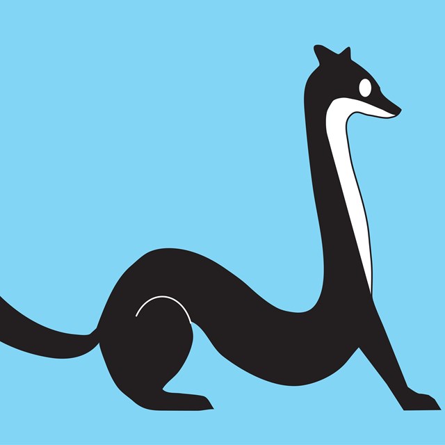 Cartoon weasel on a light blue background.