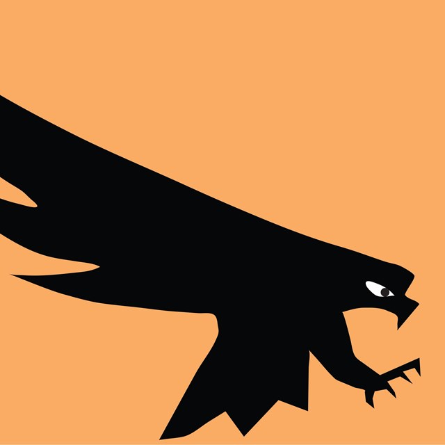 A cartoon osprey with its talons out on an orange background