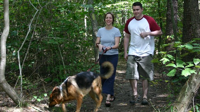 A man and a woman with a German shepherd hike a trail in summer