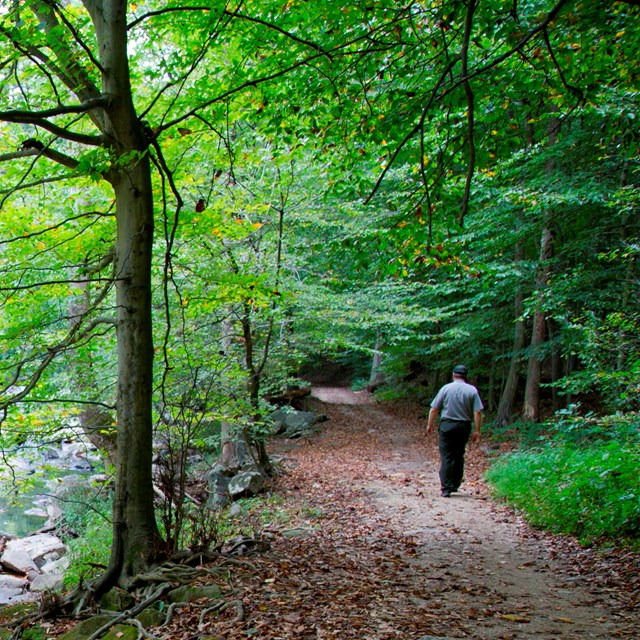 An image of a ranger hiking next to Rock Creek. 