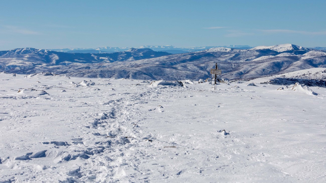 Flattop Mountain Summit, covered in snow