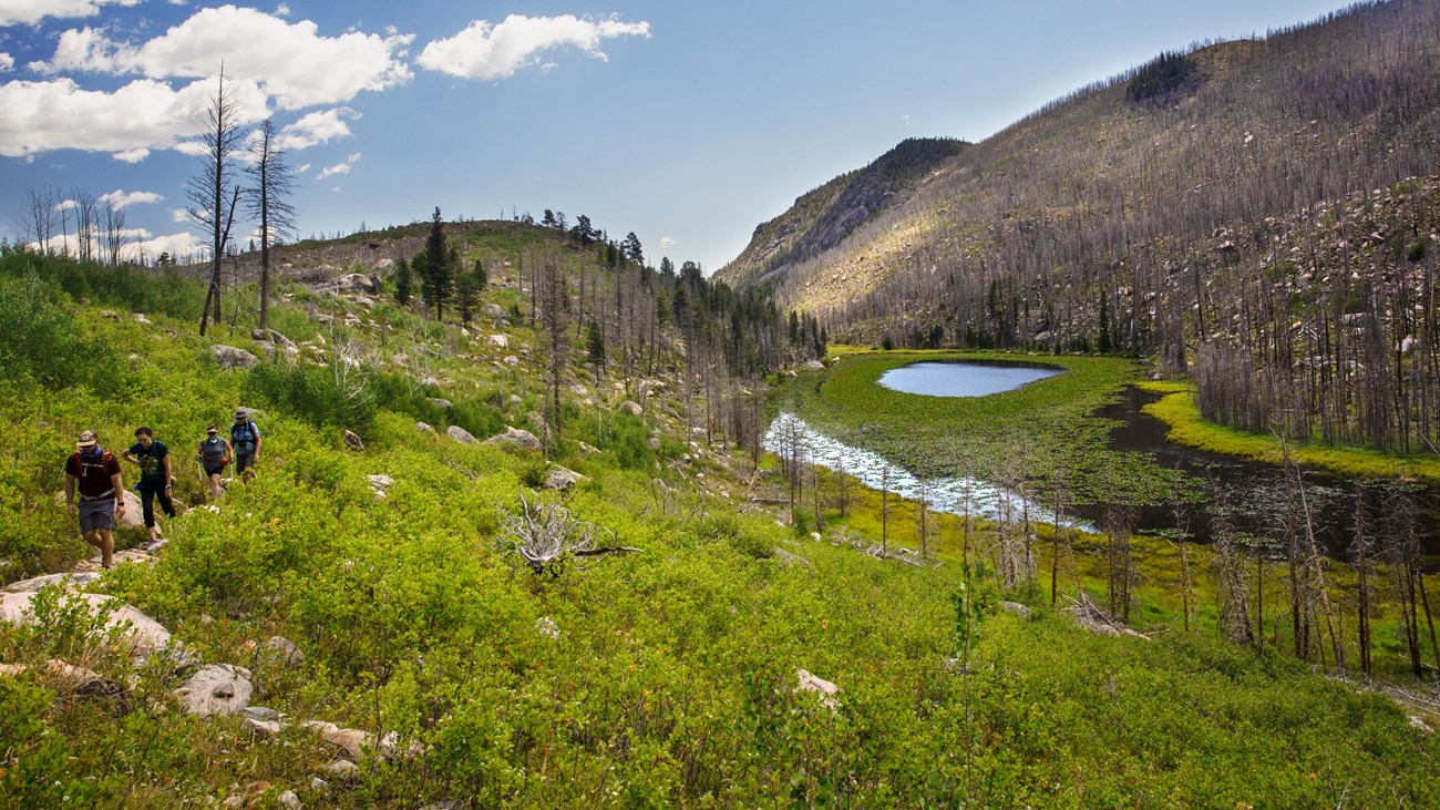 Visitors are hiking on the Cub Lake Trail