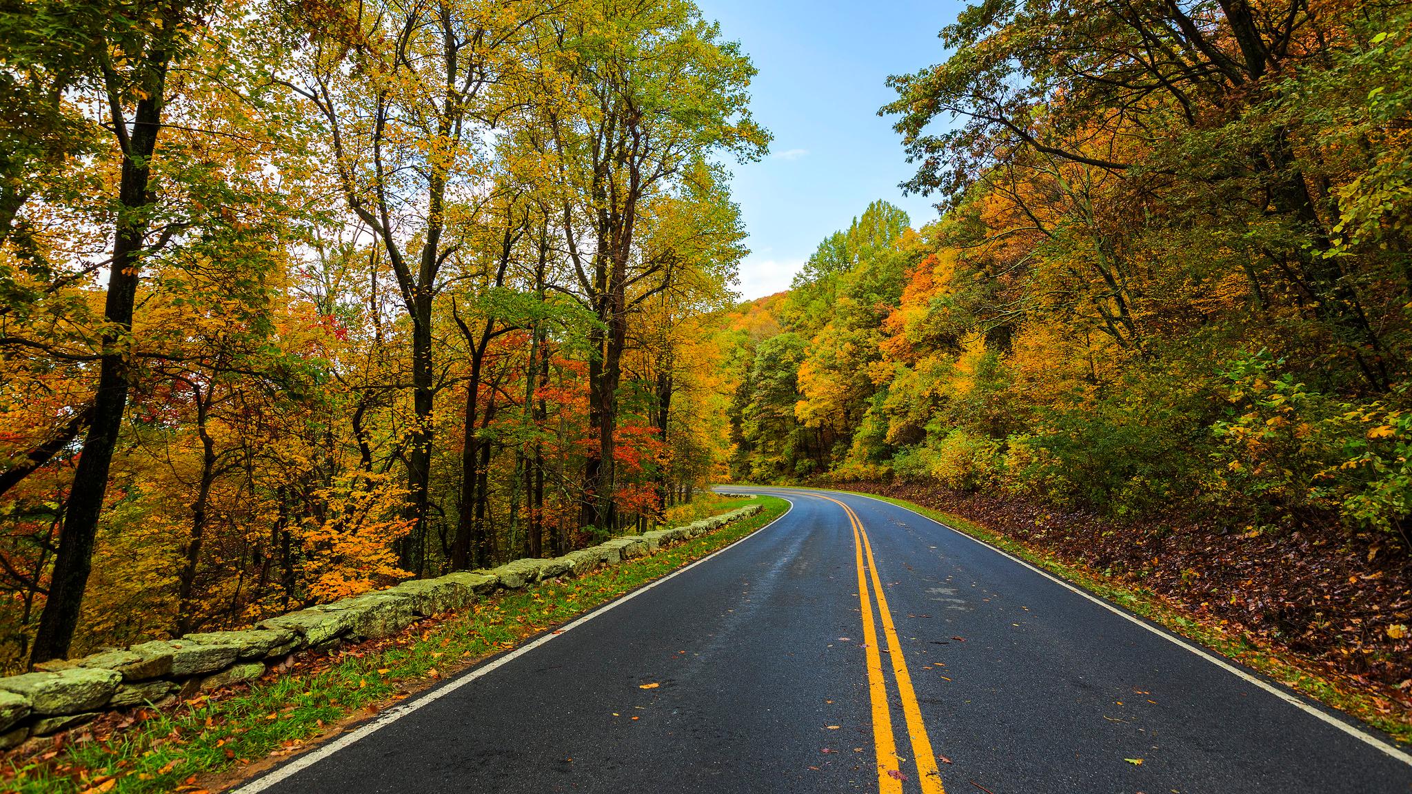 Skyline Drive in fall