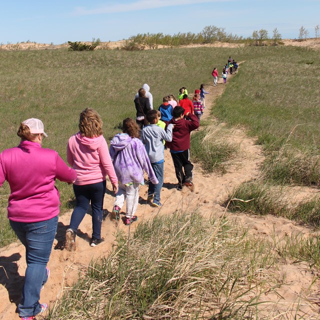 A line of students walk through a grassy dune ecosystem under a blue sky