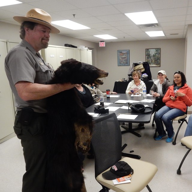 A park ranger holds a bear skin in front of a group of teachers surrounding a table.