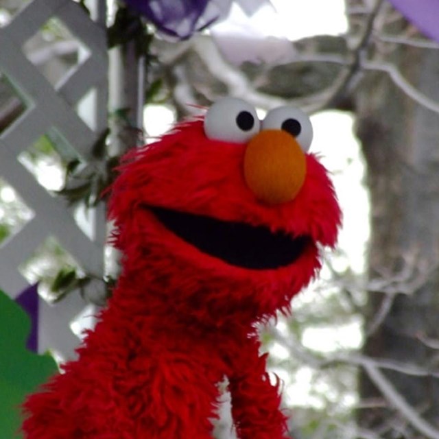 Red furry Muppet named Elmo. 
