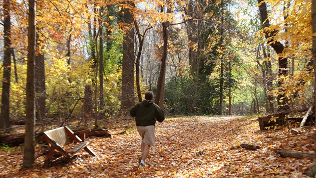 Jogger on trail covered in fall leaves passing a park bench.