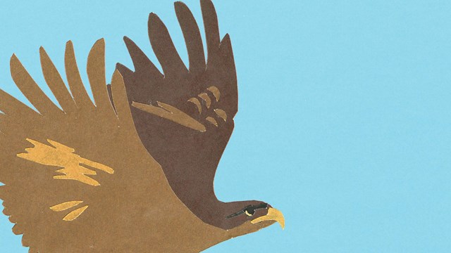 Construction paper cutout of a golden eagle.