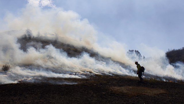 A firefighter performing a prescribed burn