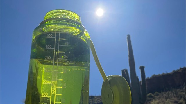 A water bottle with the sun shining behind it and cactus in the background.