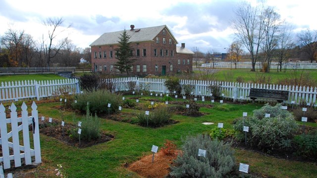 herb garden with a brick building in the background