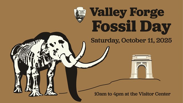 illustration of a mastodon silhouette with bones highlighted. national memorial arch in background