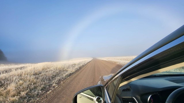A car drives down a gravel road through a foggy grassland with a white fogbow arcing over the road.