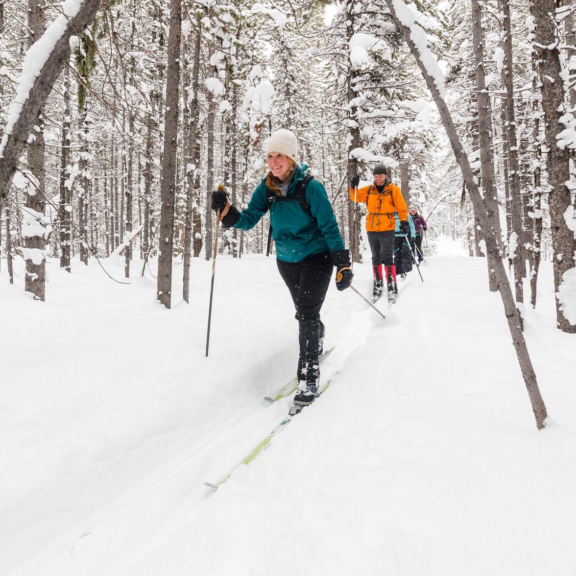 People skiing through a snowy forest.