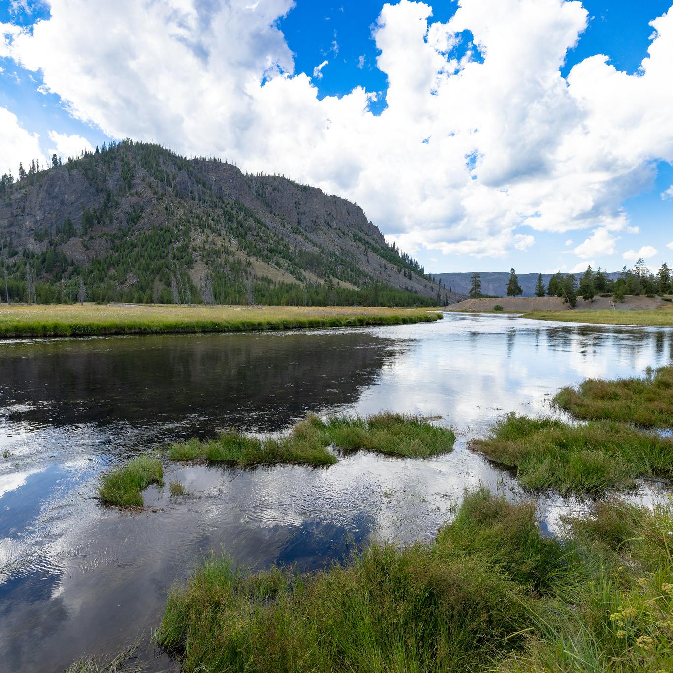 Mountain views along the Madison River.