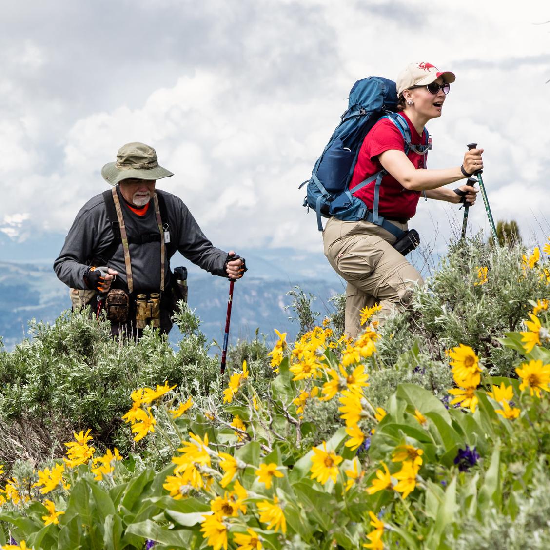 A group of people hikes through a wildflower-covered hillside.