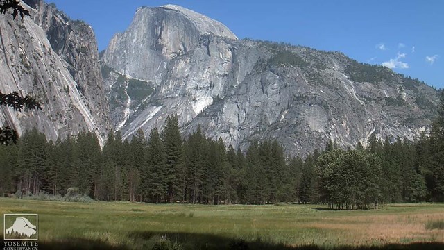 Image from the Ahwahnee Meadow webcam showing Half Dome