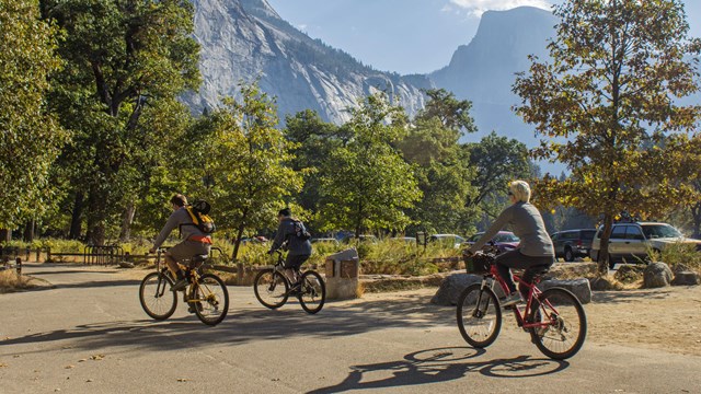 Bicyclists in Yosemite Valley